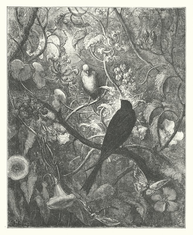 Le favole di La Fontaine: Filomela e Progne da Gustave Dore