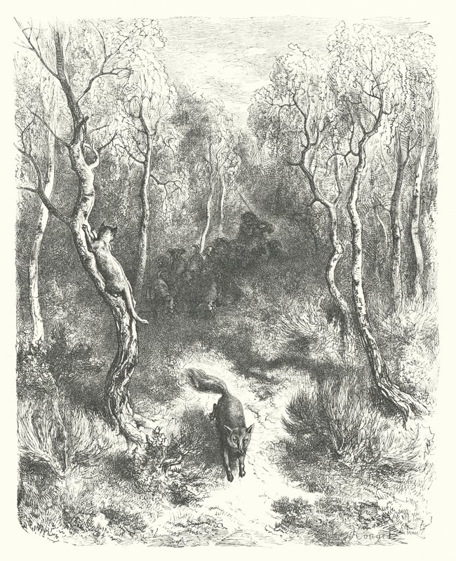Le favole di La Fontaine: Il gatto e la volpe (incisione) da Gustave Dore