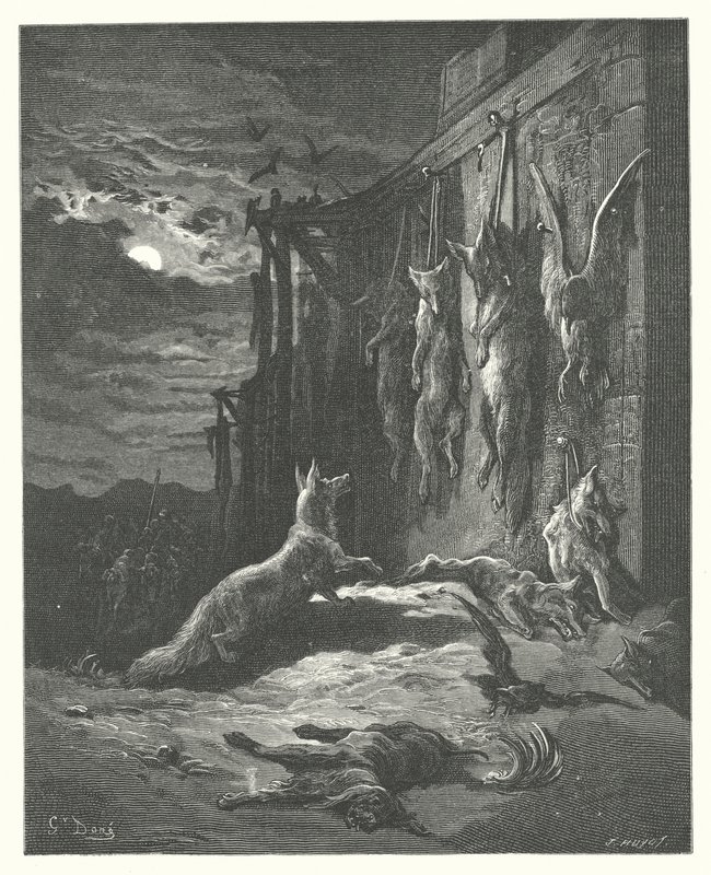 Le favole di La Fontaine: La volpe inglese (incisione) da Gustave Dore