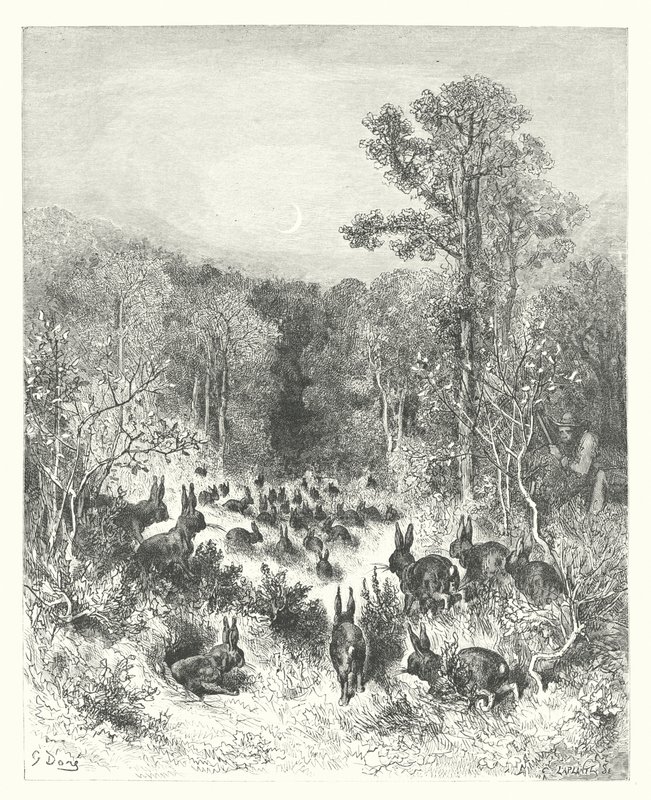 Le favole di La Fontaine: I conigli da Gustave Dore