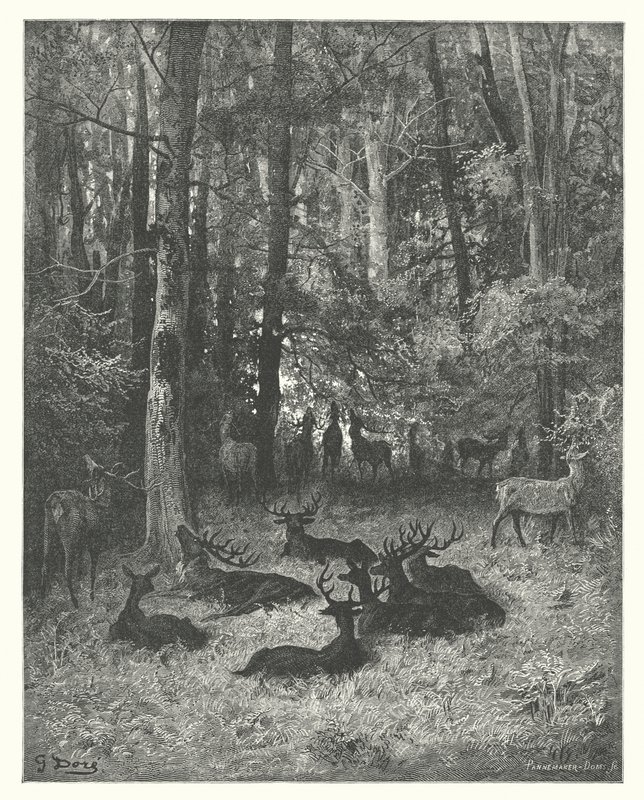 Le favole di La Fontaine: Il cervo malato (incisione) da Gustave Dore