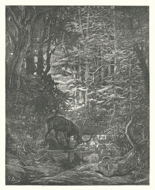 Le favole di La Fontaine: Il cervo che si guarda nel ruscello da Gustave Dore