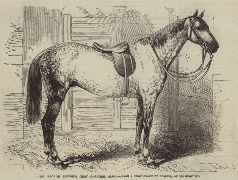 Il cavallo grigio di Sir George Brown, Alma da Gustave Janet