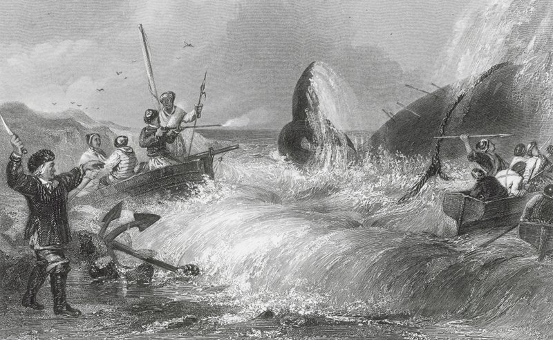 La Balena a Riva da H. Melville