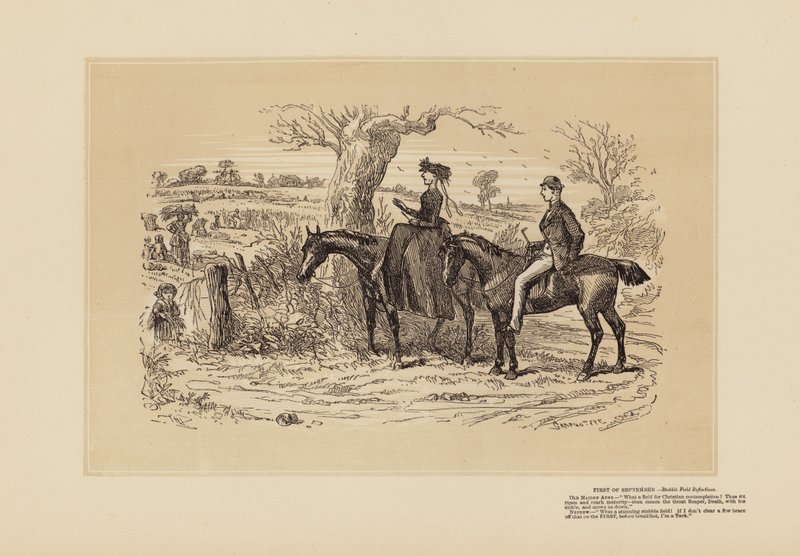Un campo molto fine per la riflessione da Hablot Knight (1815 92) Browne