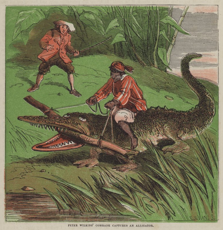Il compagno di Peter Wilkins cattura un alligatore (litografia a colori) da after Hablot Knight Browne