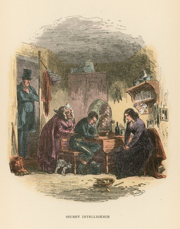 Illustrazione per 