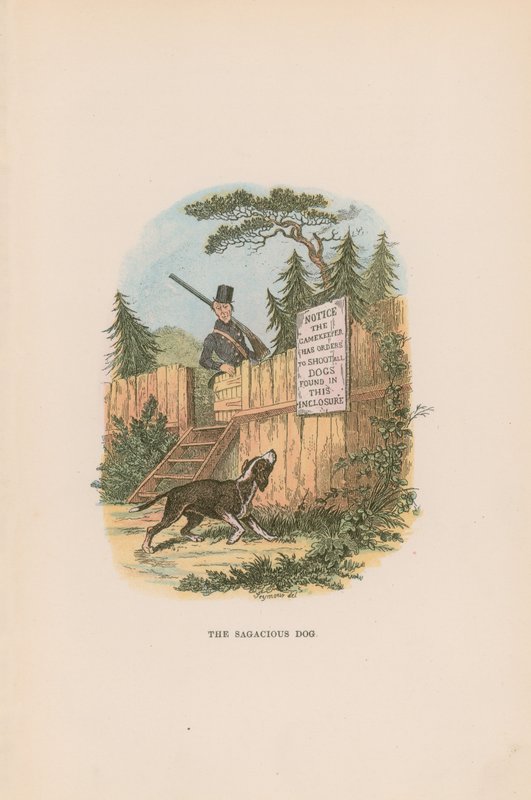Illustrazione per Pickwick Papers da Hablot Knight Browne