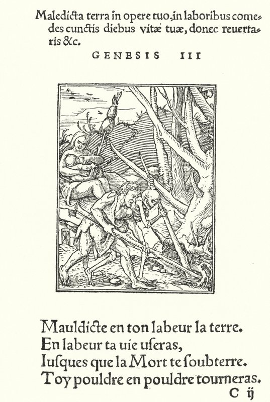 La maledizione sulla Terra e sull