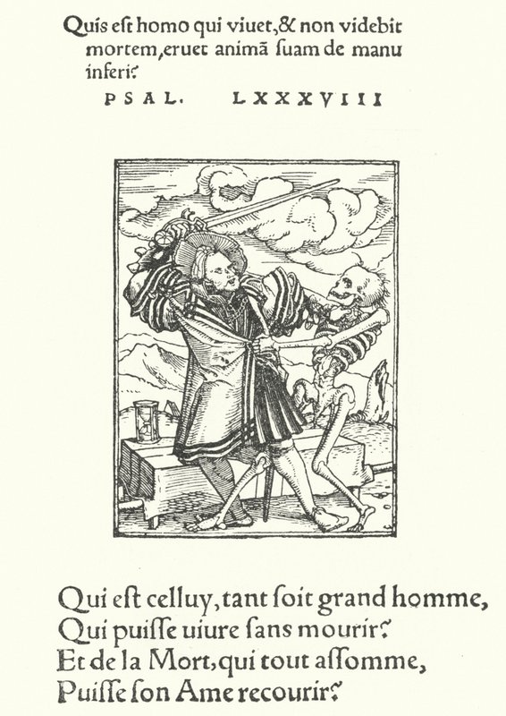 Il Nobile Cavaliere (incisione) da Hans (after) Holbein the Younger