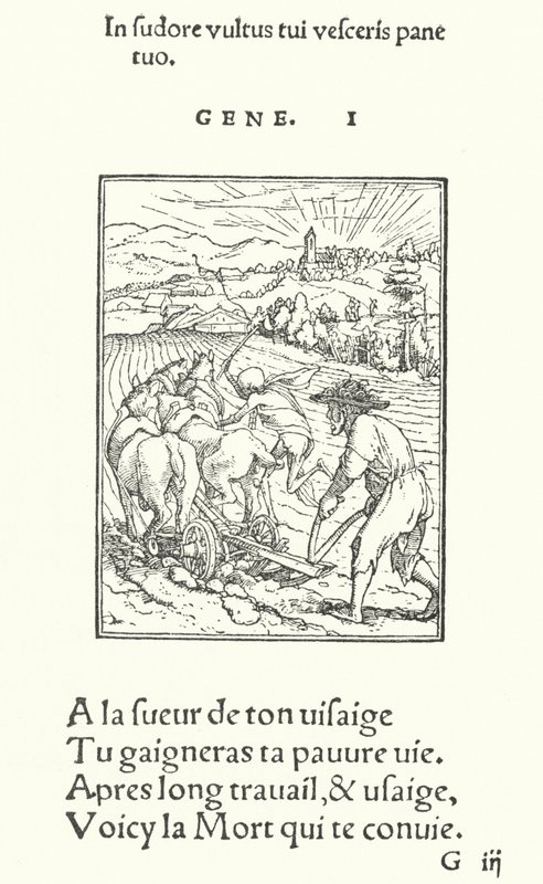 Il contadino da Hans (after) Holbein the Younger
