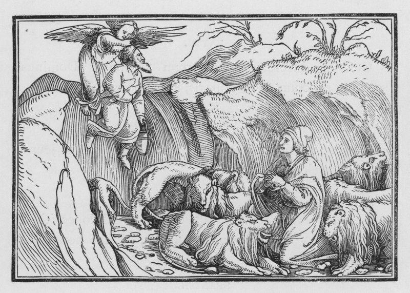 Daniele nella fossa dei leoni, Bel e il Drago I, 36 da Hans after Holbein the Younger