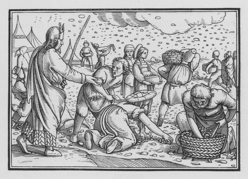 Gli Israeliti Mormorano per la Mancanza di Pane, Esodo XVI, 4 da Hans after Holbein the Younger