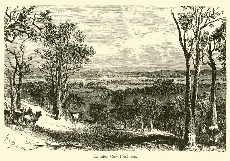 Pascoli di Camden da Harden Sidney Melville
