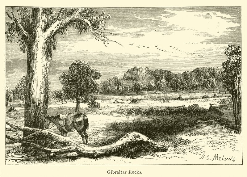 Rocce di Gibilterra da Harden Sidney Melville