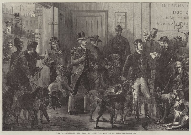 La mostra internazionale dei cani a Islington, arrivo dei cani da Harden Sidney Melville