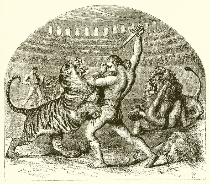 Il leone combattente dell