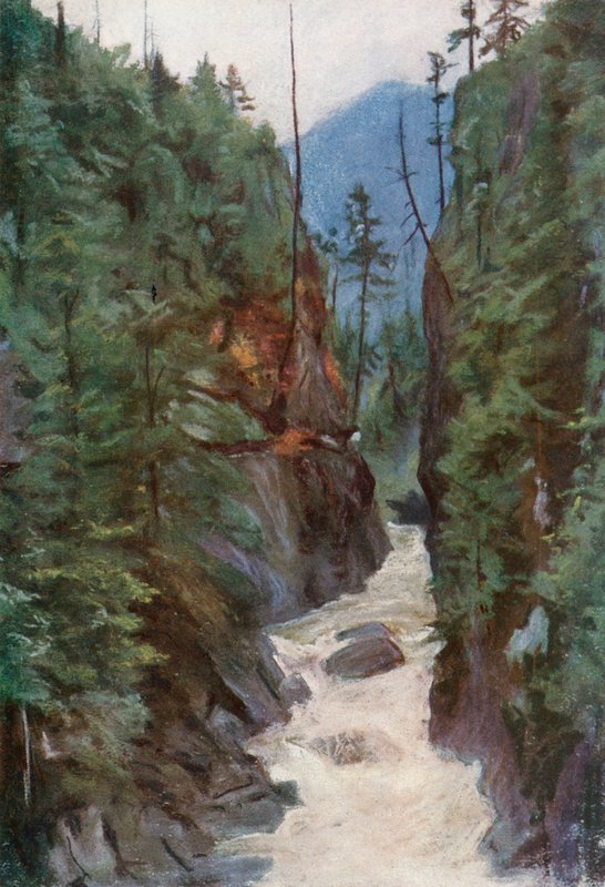 Capilano Canyon, vicino a North Vancouver da Harold Copping