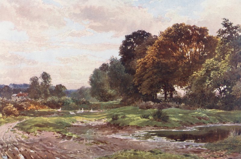 Un Angolo di Esher Common da Harold Sutton Palmer