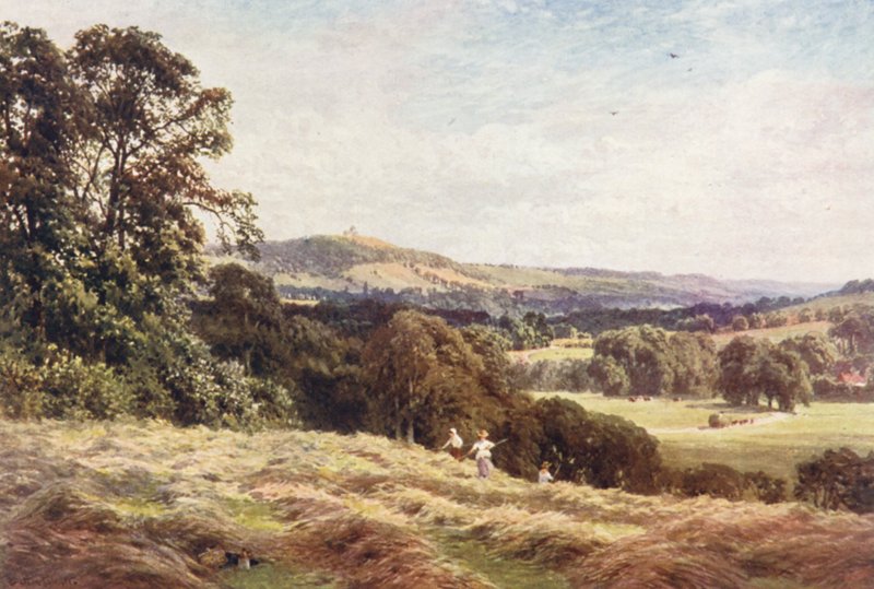 Un Campo di Fieno, Wonersh da Harold Sutton Palmer