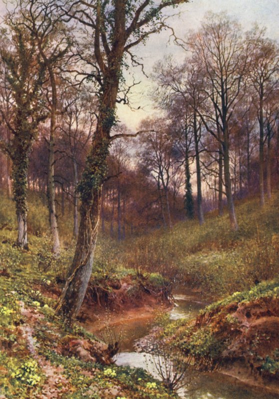 Solitudine serale, Ockley da Harold Sutton Palmer