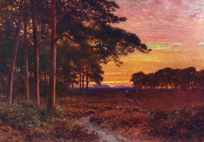 Sera sulle brughiere, Hindhead da Harold Sutton Palmer