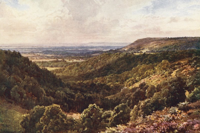 Dalle colline sopra Peaslake, vicino a Gomshall da Harold Sutton Palmer