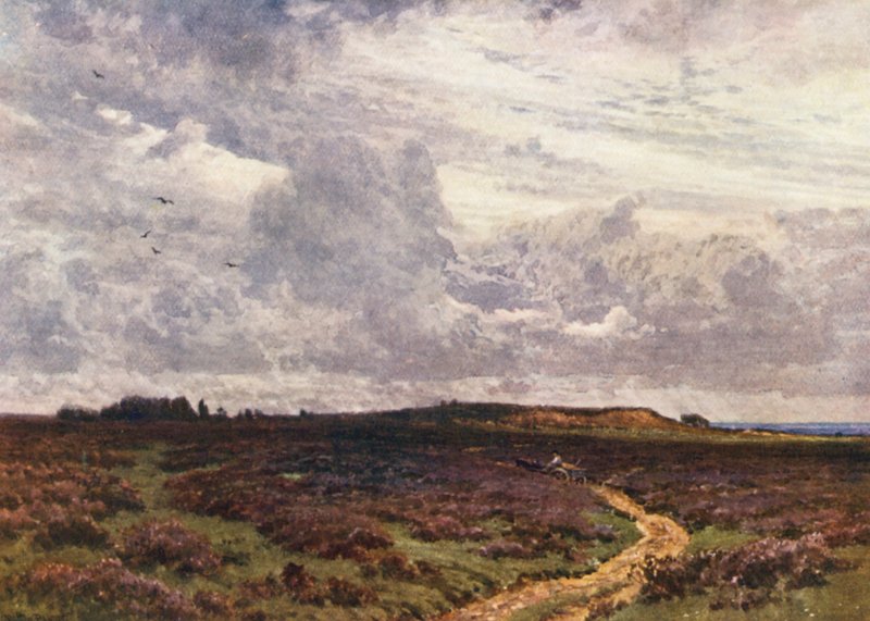 La Strada Sabbiosa, Milford Heath da Harold Sutton Palmer