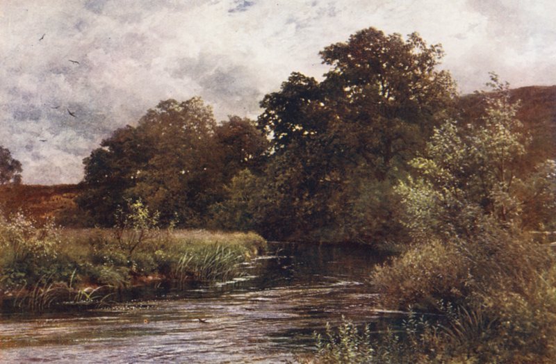Il Wey a Hankley Common, vicino a Tilford da Harold Sutton Palmer