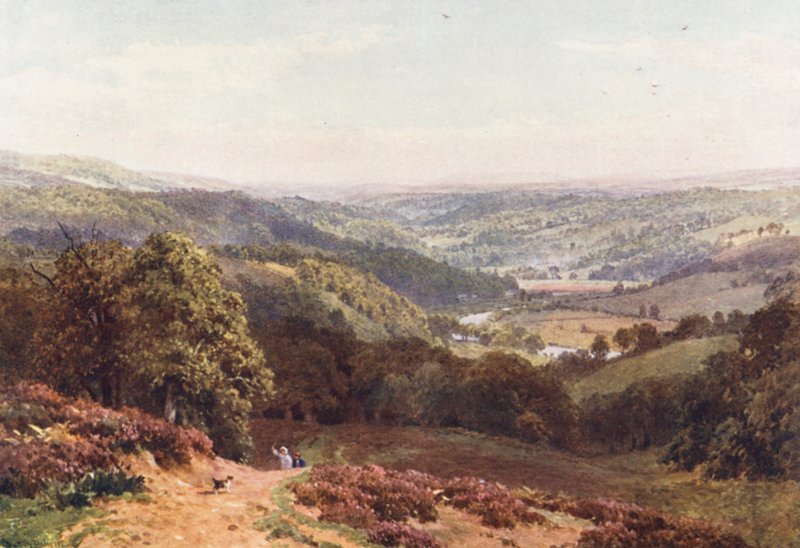 Valle di Albury, da St Martha
