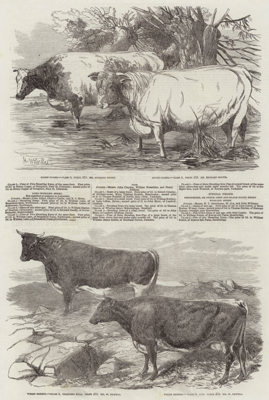 Esposizione della Royal Agricultural Society of England da Harrison William Weir