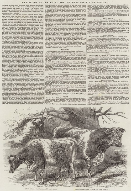 Esposizione della Royal Agricultural Society of England da Harrison William Weir