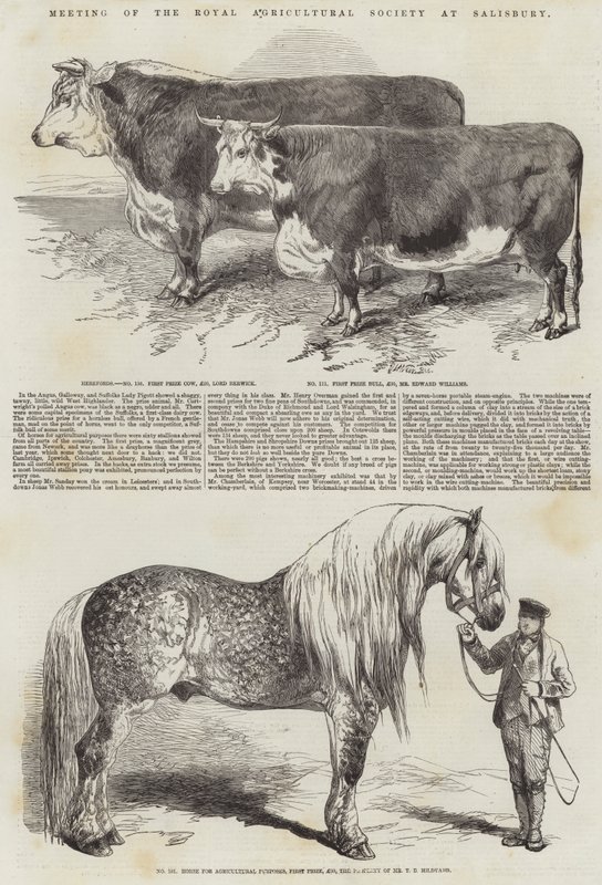 Incontro della Royal Agricultural Society a Salisbury da Harrison William Weir