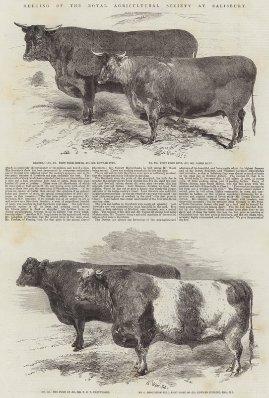 Riunione della Società Agricola Reale a Salisbury da Harrison William Weir