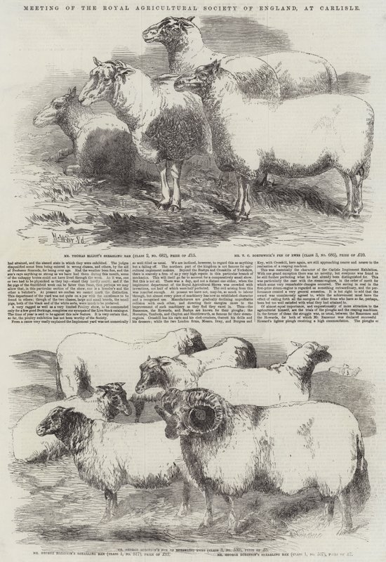 Incontro della Royal Agricultural Society of England, a Carlisle da Harrison William Weir