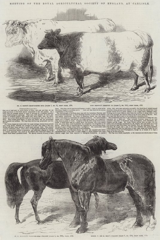 Riunione della Royal Agricultural Society of England, a Carlisle da Harrison William Weir