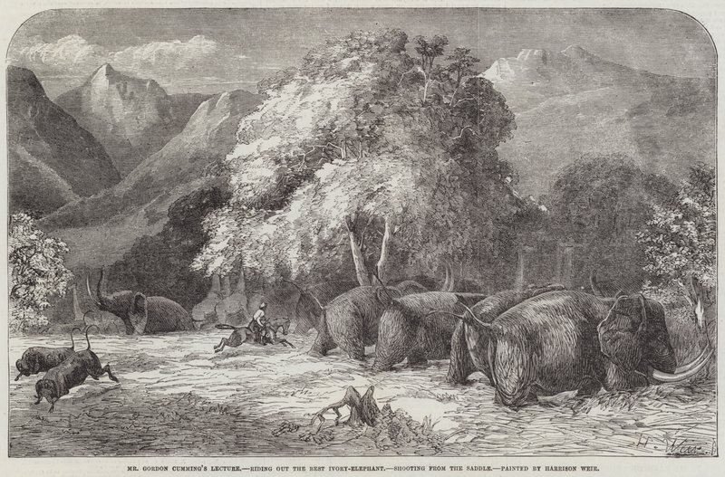 La conferenza di Mr Gordon Cumming, cavalcando il miglior elefante d
