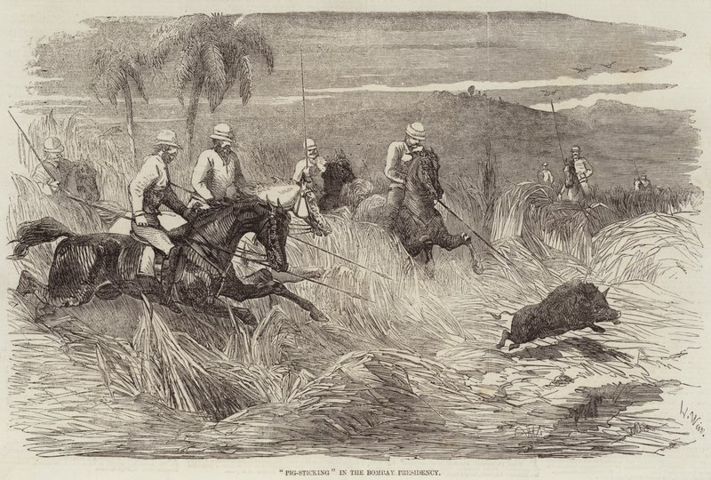 Caccia al cinghiale nella Presidenza di Bombay da Harrison William Weir