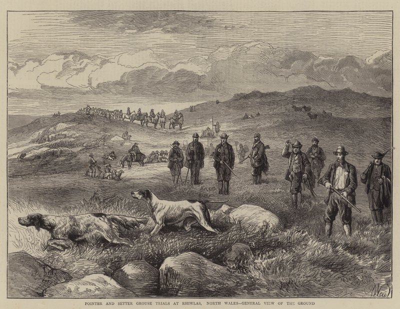 Prove di pointer e setter a Rhiwlas, Galles del Nord, vista generale del terreno da Harrison William Weir