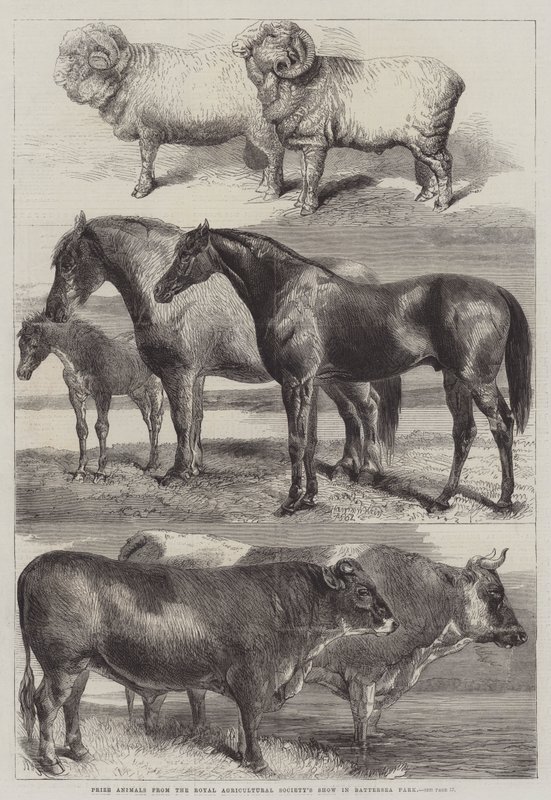 Animali premiati dalla Royal Agricultural Society