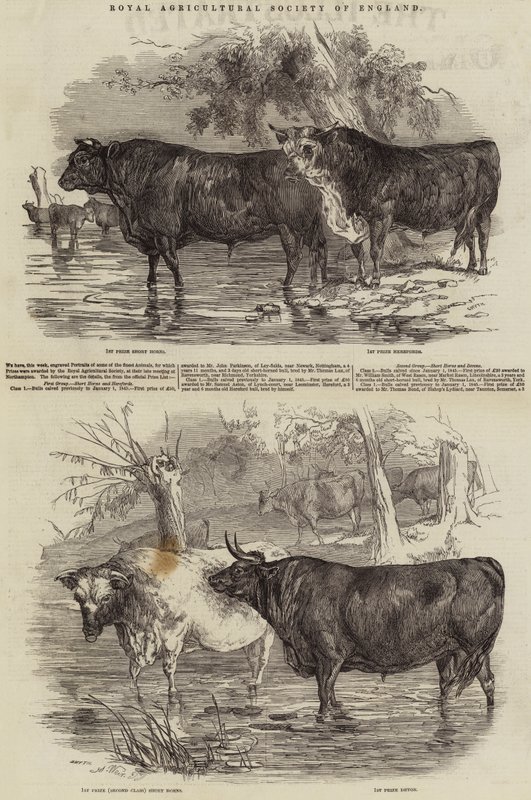 Royal Agricultural Society of England da Harrison William Weir