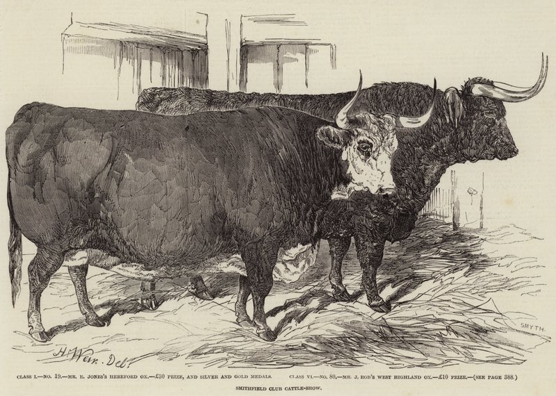 Mostra di bestiame del Smithfield Club da Harrison William Weir