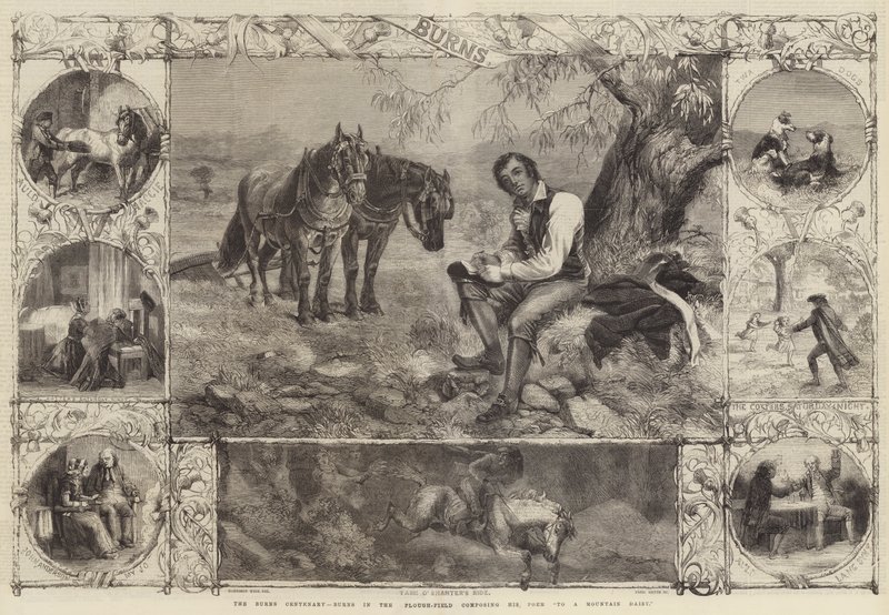 Il centenario di Burns, Burns nel campo arato che compone la sua poesia A una margherita di montagna da Harrison William Weir
