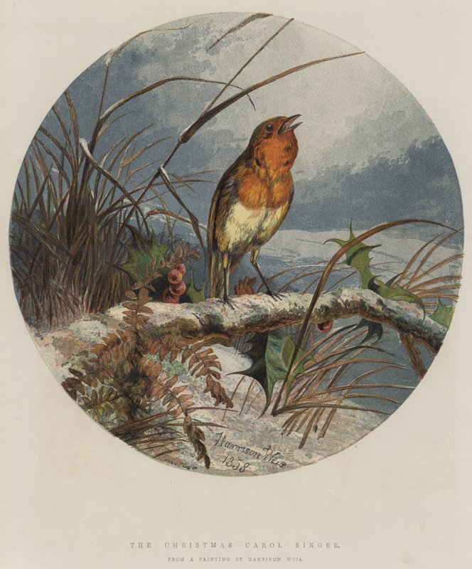 Il Cantante di Canti di Natale da Harrison William Weir