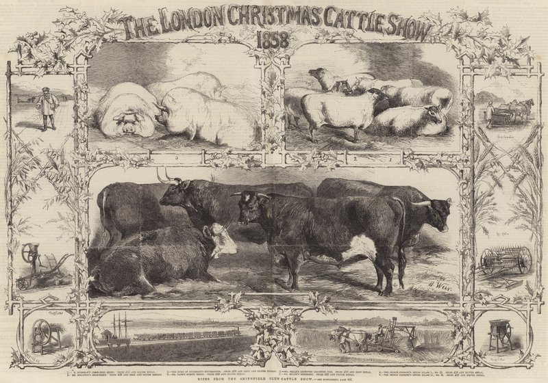 La mostra del bestiame di Natale di Londra del 1858 da Harrison William Weir