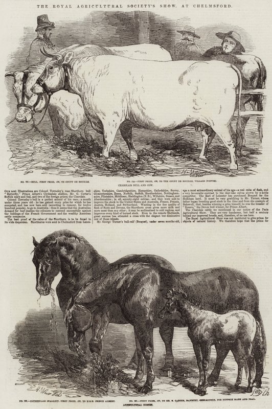 La mostra della Royal Agricultural Society a Chelmsford da Harrison William Weir