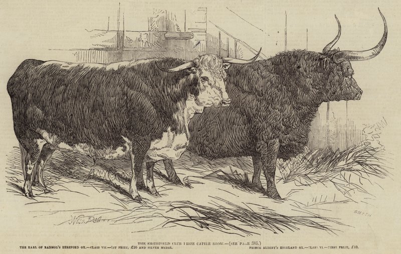 Mostra del bestiame del Smithfield Club da Harrison William Weir