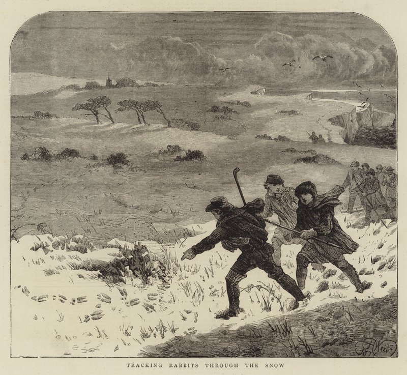 Seguendo i conigli nella neve da Harrison William Weir