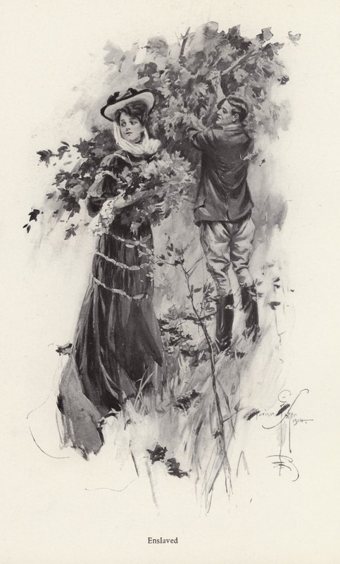 Donna che raccoglie fiori con un ammiratore maschile da Harrison Fisher
