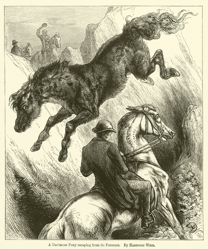 Un pony di Dartmoor che sfugge ai suoi inseguitori da Harrison William Weir